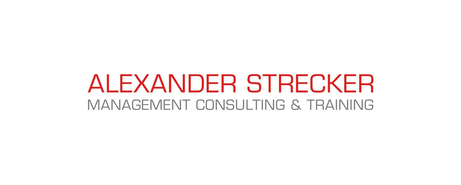 Alexander Strecker Consulting – Corporate Design · Webdesign (Bild 1/2)