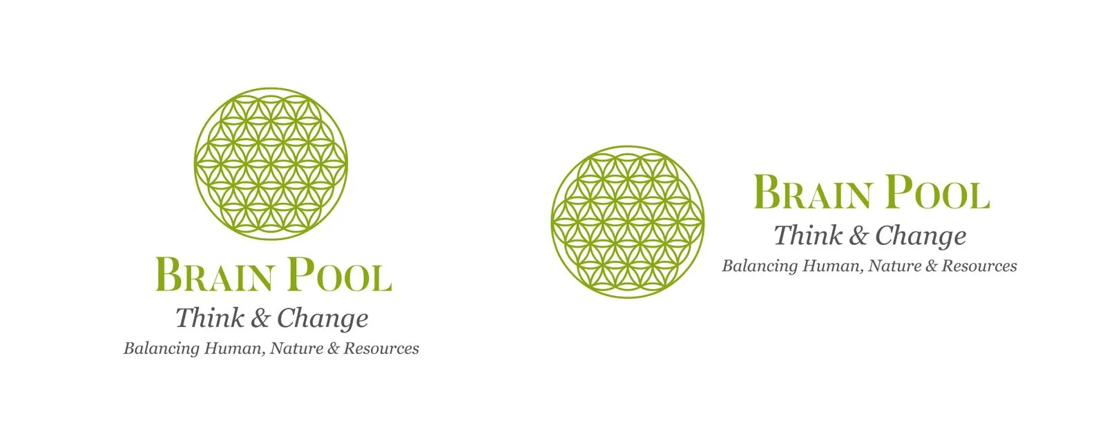 Brain Pool Limited – Corporate Design · Print (Bild 1/2)