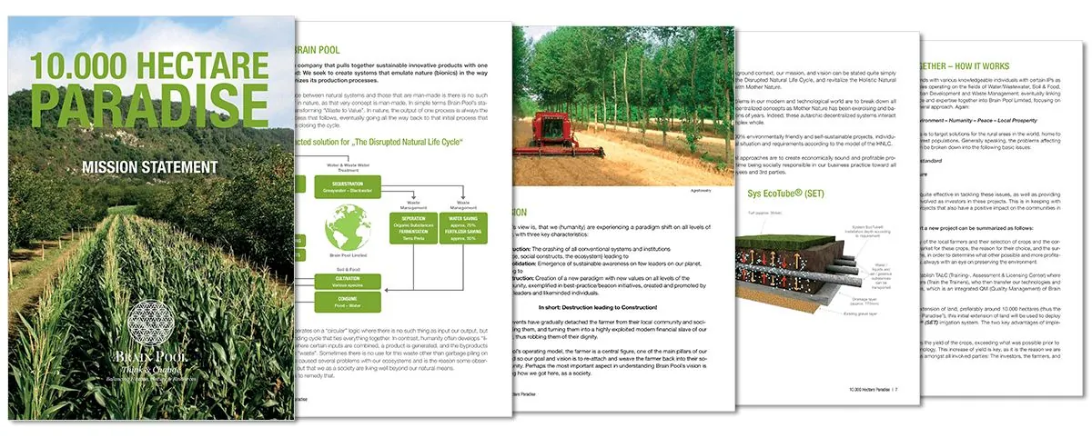 Brain Pool Limited – Corporate Design · Print (Bild 2/2)