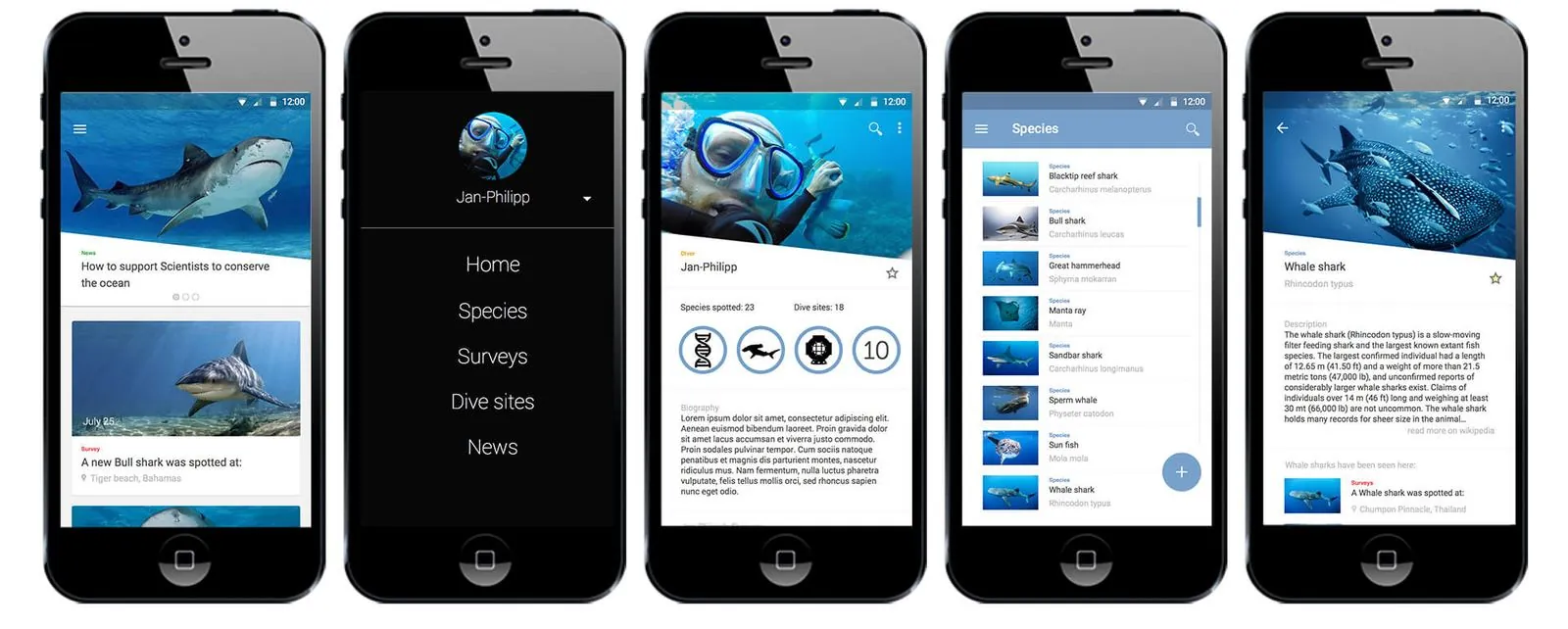 DORI – Corporate Design · Webdesign · App (Bild 1/6)