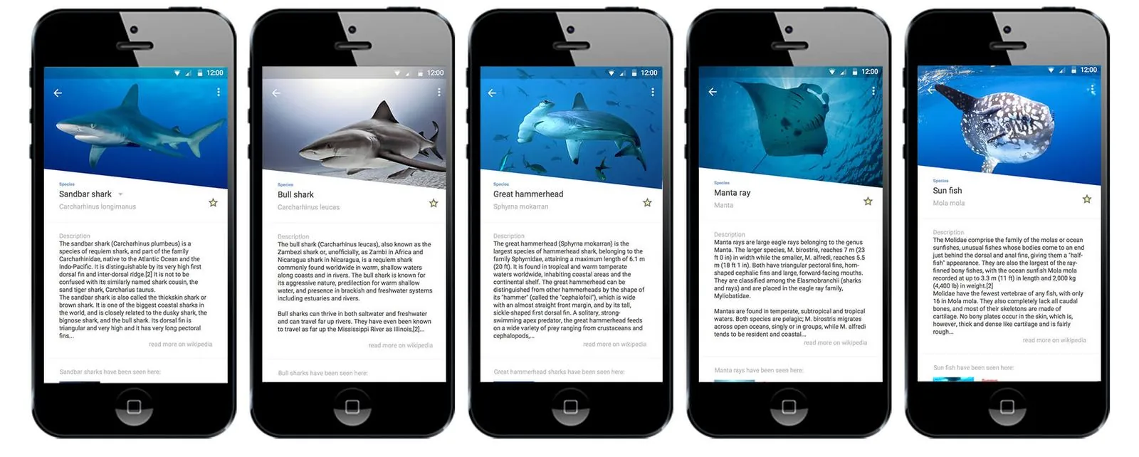 DORI – Corporate Design · Webdesign · App (Bild 2/6)