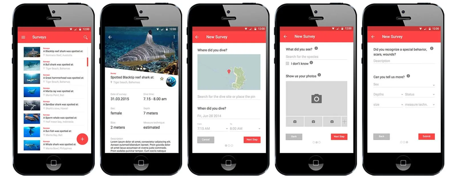 DORI – Corporate Design · Webdesign · App (Bild 3/6)