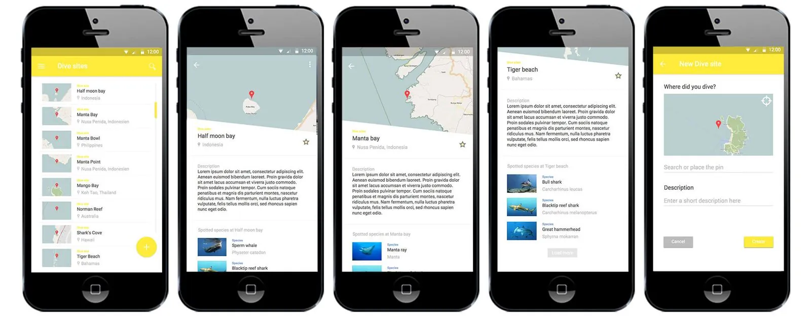 DORI – Corporate Design · Webdesign · App (Bild 4/6)