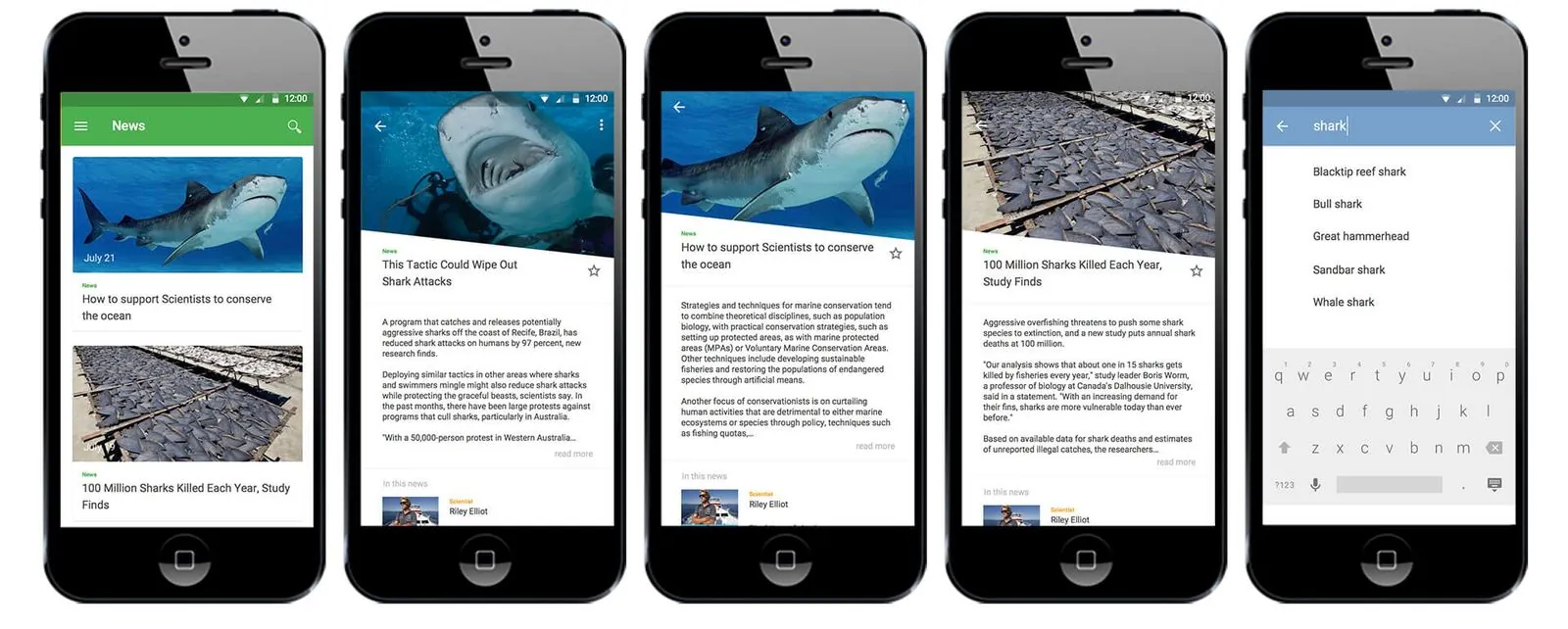 DORI – Corporate Design · Webdesign · App (Bild 5/6)