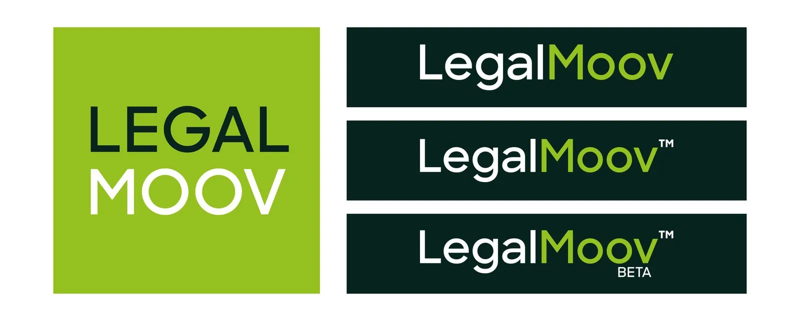 LegalMoov – Produktmanagement · Corporate Design · Webdesign (Bild 10/16)